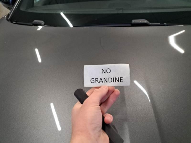 DS DS7 SUV BLUEHDI 130 AUTOMATICA PERFORMANCE LINE - foto 24