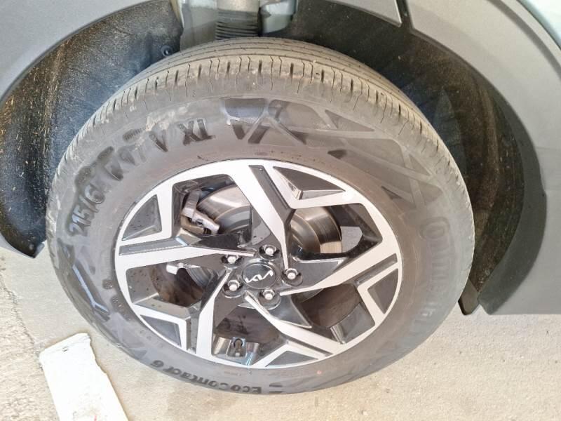 Kia Sportage SUV 1.6 CRDI MHEV BUSINESS 2WD DCT - foto 18