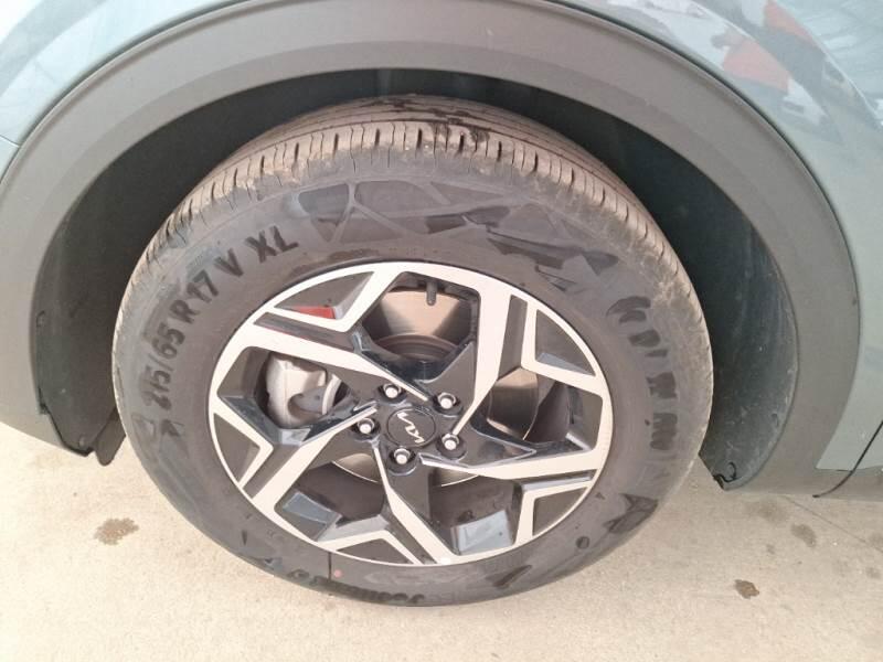 Kia Sportage SUV 1.6 CRDI MHEV BUSINESS 2WD DCT - foto 20