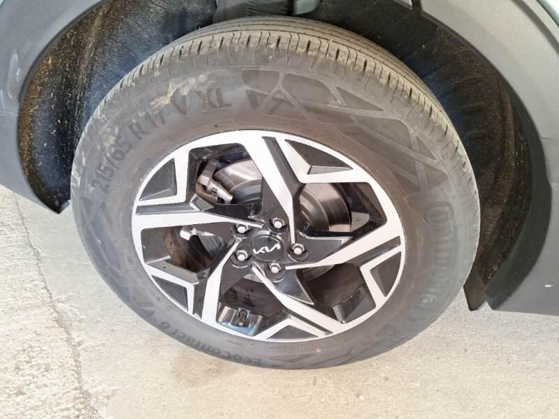 Kia Sportage SUV 1.6 CRDI MHEV BUSINESS 2WD DCT - foto 77