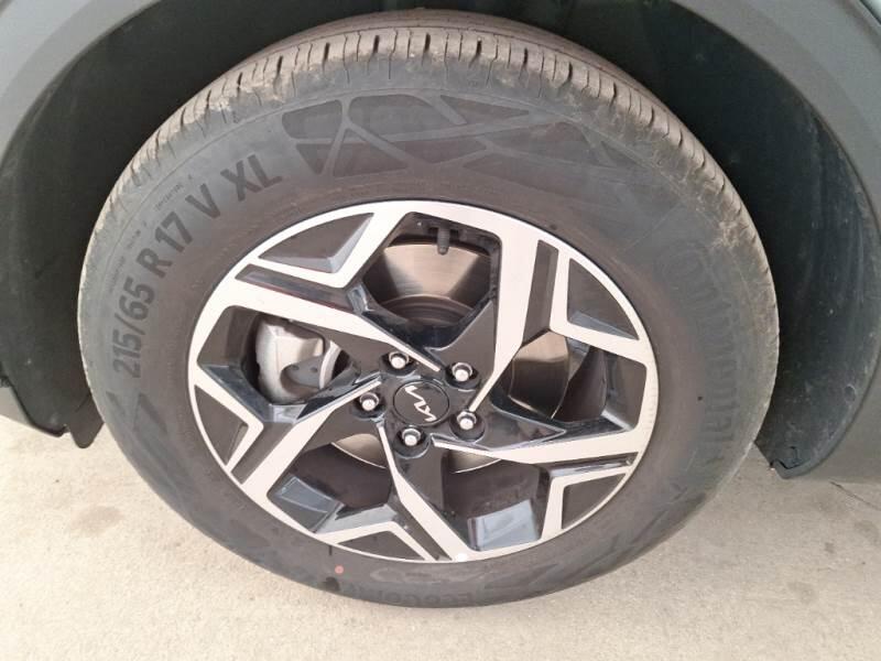 Kia Sportage SUV 1.6 CRDI MHEV BUSINESS 2WD DCT - foto 82