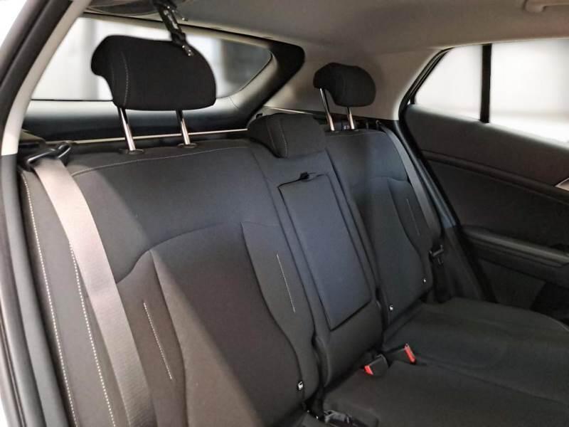 Kia Sportage SUV 1.6 TGDI MHEV BUSINESS 2WD DCT - foto 15