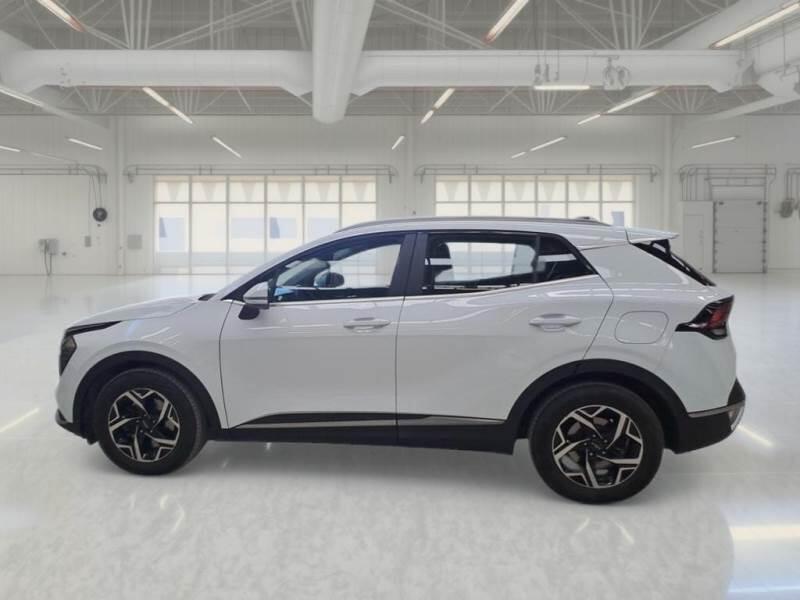 Kia Sportage SUV 1.6 CRDI MHEV BUSINESS 2WD - foto 8