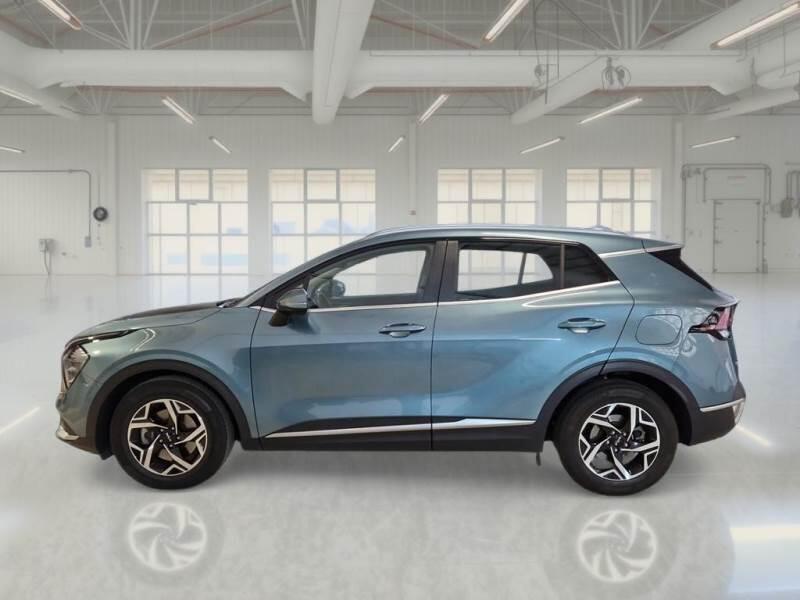 Kia Sportage SUV 1.6 CRDI MHEV BUSINESS 2WD DCT - foto 8
