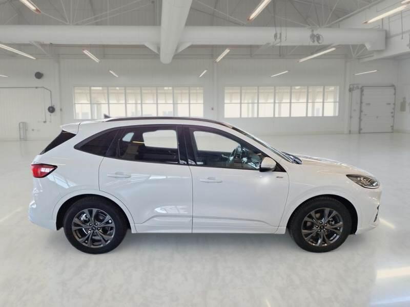 Ford Kuga SUV 2.5 BENZINA FHEV 190CV 2WD ST-LINE X AUT - foto 7