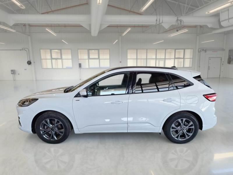 Ford Kuga SUV 2.5 BENZINA FHEV 190CV 2WD ST-LINE X AUT - foto 8