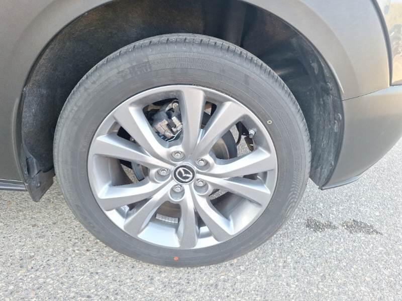 Mazda CX-30 SUV 2.0L SKYACTIV-G 122CV M HYB. EXCLUS.LINE - foto 19