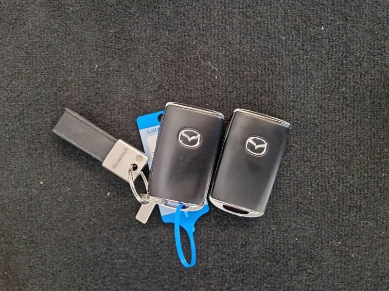 Mazda CX-60 SUV 2.5L E-SKYACTIV PHEV HOMURA AWD AUTO - foto 120