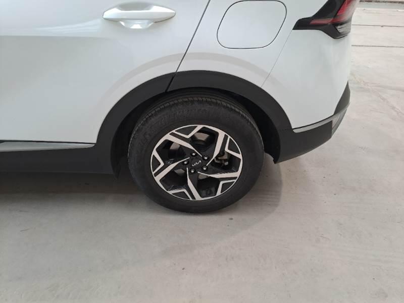 Kia Sportage SUV 1.6 TGDI MHEV BUSINESS 2WD DCT - foto 19